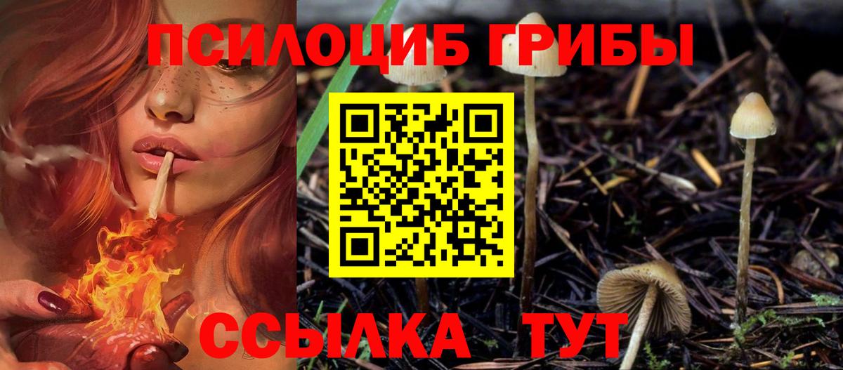 Чапаевск  закладка  Вход с VPN  Псилоцибиновые грибы GOLDEN TEACHER  Псилоцибиновые грибы GOLDEN TEACHER 